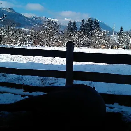 Gasthuis Serena Bran 3*